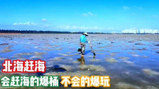 北海金海湾赶海,2类海货2种门道65元沙虫这样挖,学到手都是活