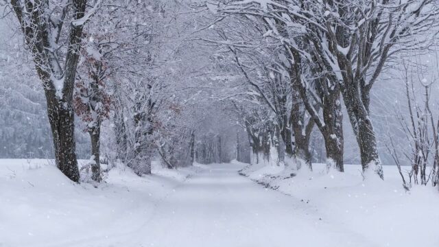 绝美风景 第2集 冬日雪景