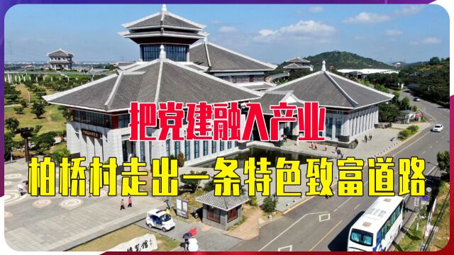 把党建融入产业,柏桥村走出一条特色致富道路,美了乡村富了乡亲