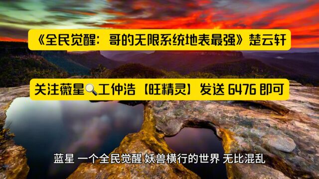 热文分享《全民觉醒:哥的无限系统地表最强》楚云轩全文在线◇阅读