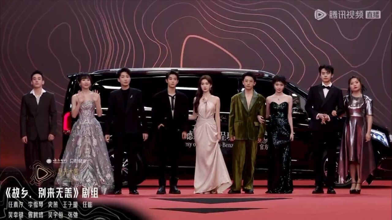 星光大赏红毯cut王子璇