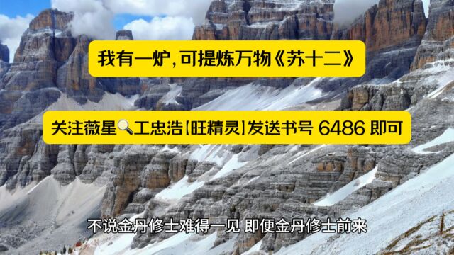 必读玄幻《我有一炉,可提炼万物》苏十二全文TXT阅读◇已完结