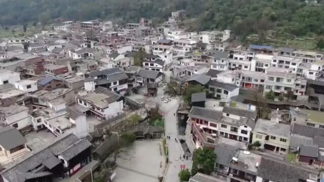 一线调研记者行 | 花溪区青岩镇龙井村:主题教育走深走实 文旅融合见行见效