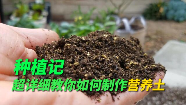 种菜养花的营养土怎么自己制作,超详细的教程它来了,建议收藏!