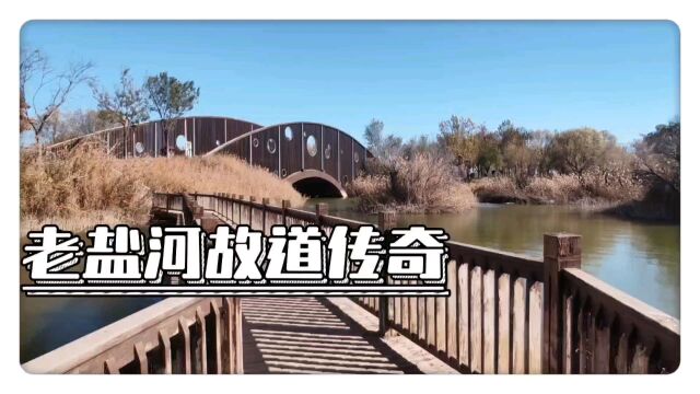 老盐河故道传奇