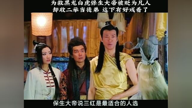 三红竟然是最合适的人选