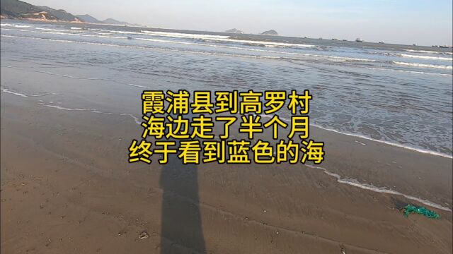 霞浦县到高罗村,海边走了半个月,终于看到蓝色的海