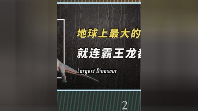 有史以来地球上10种最大的恐龙,就连恐龙霸主霸王龙都排不上