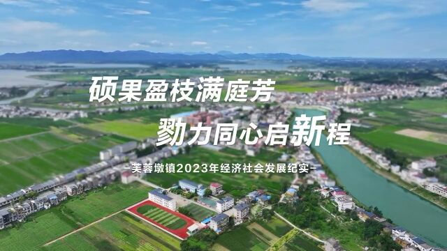 硕果盈枝满庭芳 勠力同心启新程——芙蓉墩镇2023年经济社会发展纪实