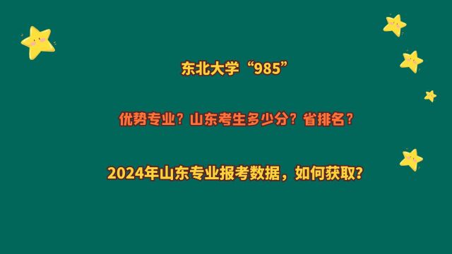 东北大学“985”,山东考生多少分?2024山东报考数据,如何获取