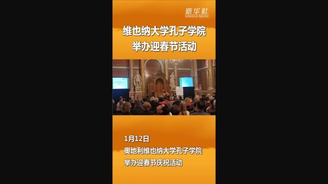 维也纳大学孔子学院举办迎春节活动