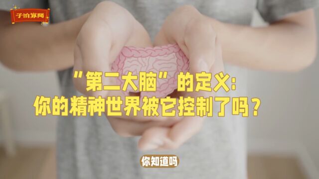 第二大脑的定义:你的精神世界被它控制了吗?