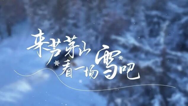 @“小宝贝”们走“晋”芦芽山,看一场雪吧!