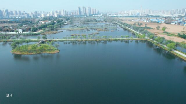 山东曹县四季河人工湿地公园美丽景色