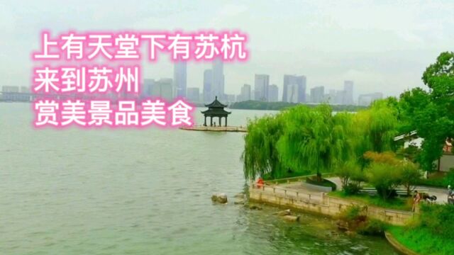 库存:上有天堂下有苏杭,来到苏州赏天下美景,品人间美食.