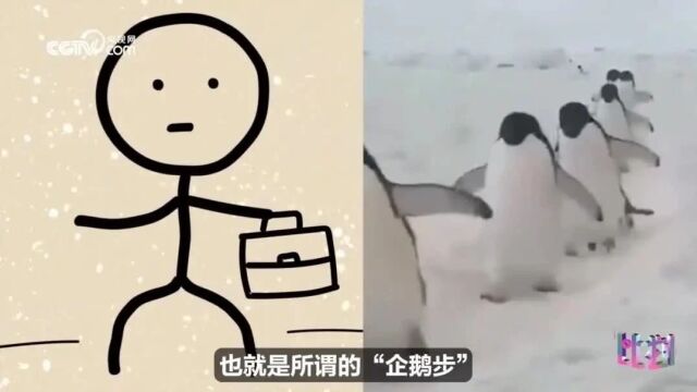 降雪天气来袭!北疆北部地区持续到……