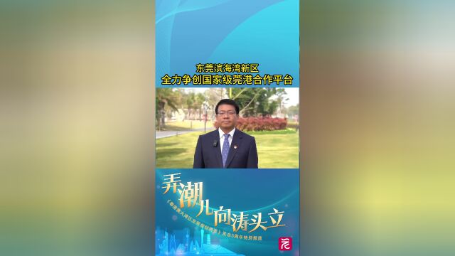 弄潮儿向涛头立|孙海波:全力争创国家级莞港合作平台_腾讯新闻