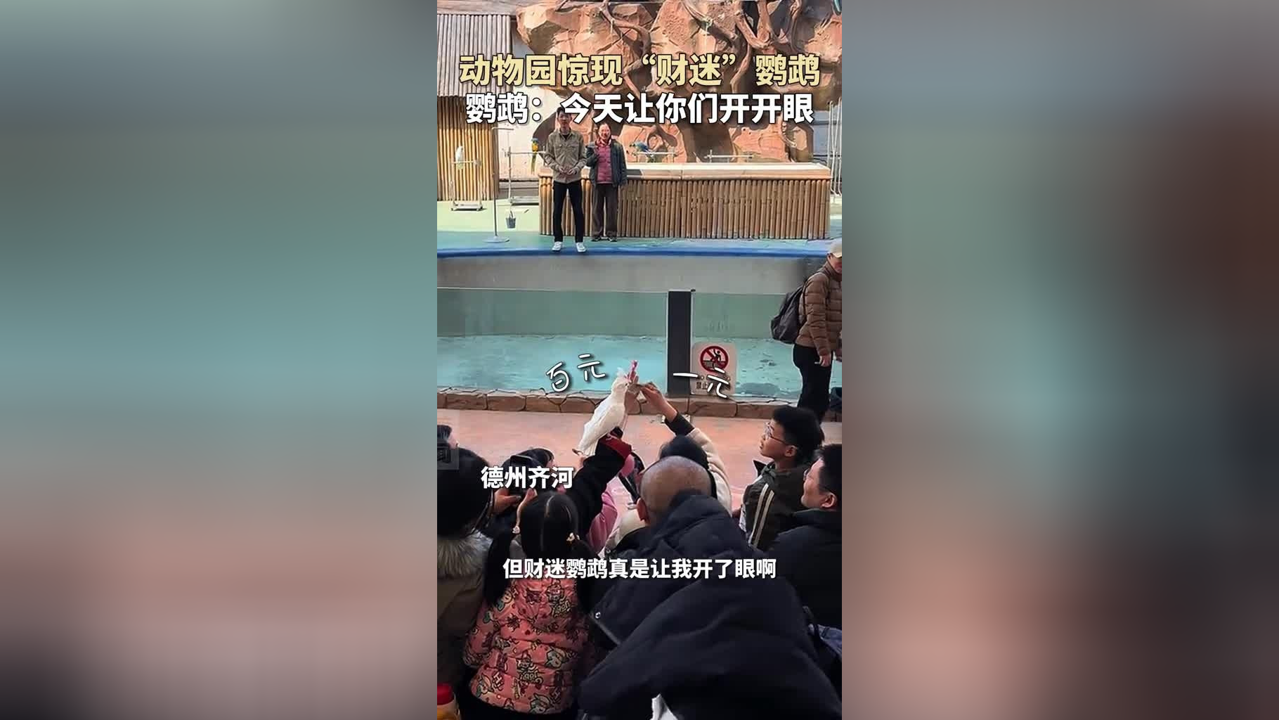 德州一动物园惊现"财迷"鹦鹉!鹦鹉:今天让你们开开眼!