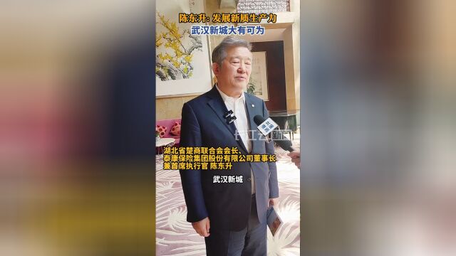 陈东升发展新质生产力武汉新城大有可为