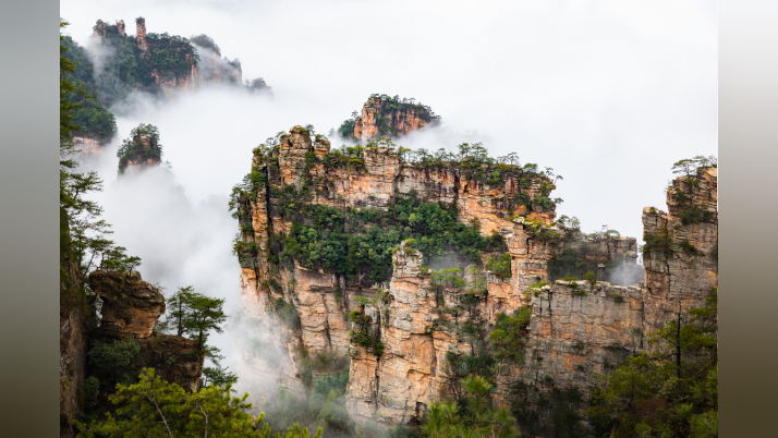 杨家界景区:雨后云雾惹人醉 游人如织踏春来