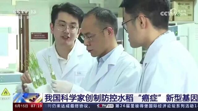 thumbplayer poster plugin image