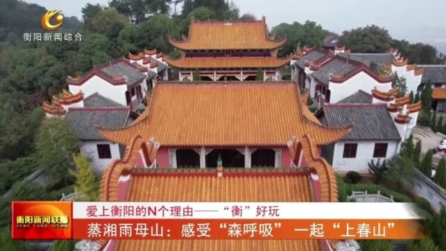 爱上衡阳的n个理由-"衡"好玩 蒸湘雨母山:感受"森呼吸