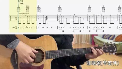 珊瑚颂(毕宏伟)#乐器演奏#吉他谱#零基础学吉他#吉他老杨_高清1080P在线观看平台_腾讯视频