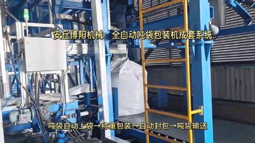 乙二酸全自动吨袋包装机02自动给袋式吨袋包装机