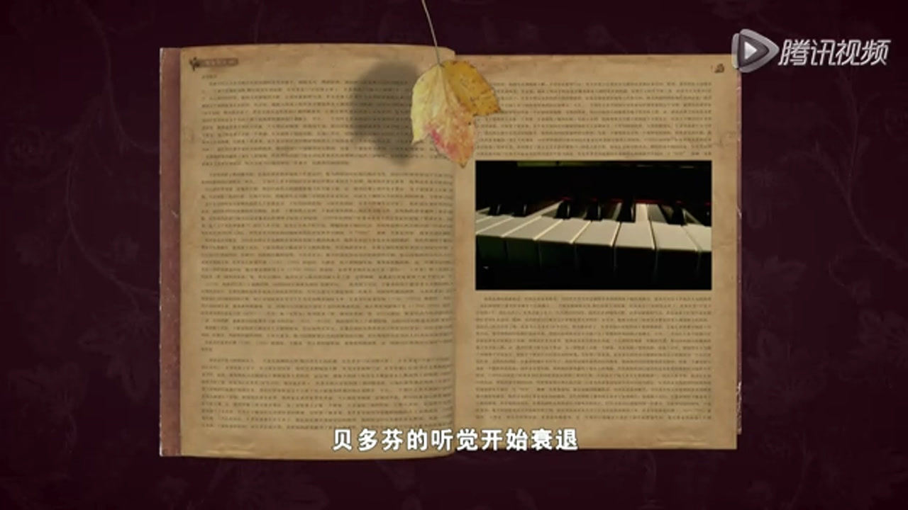 美酒传奇 13集