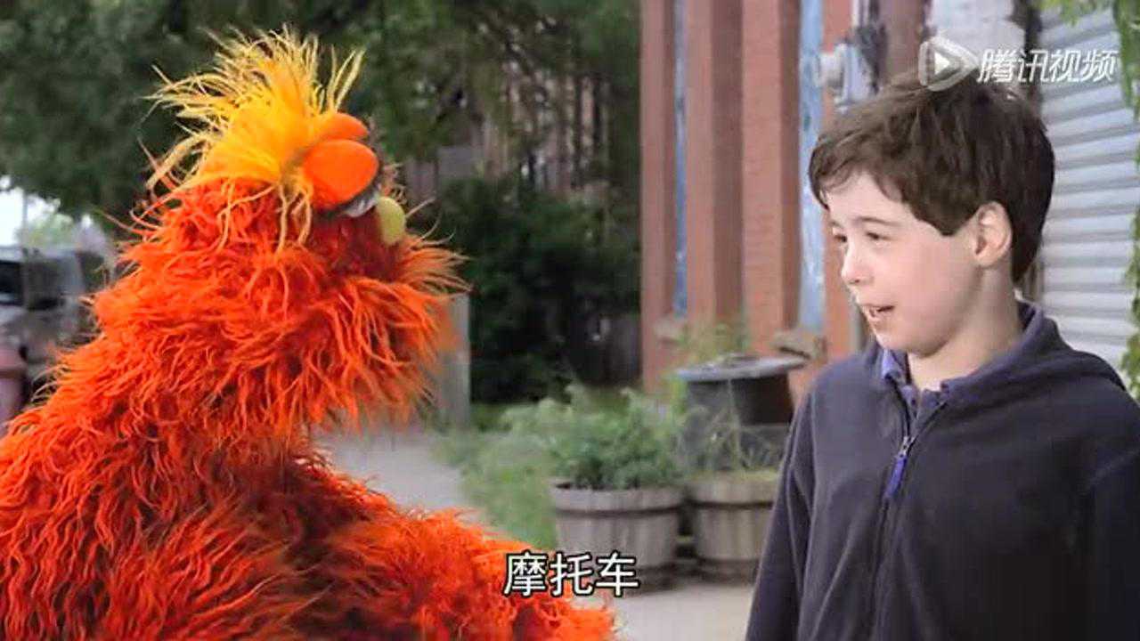 芝麻街国际版第41季 24集