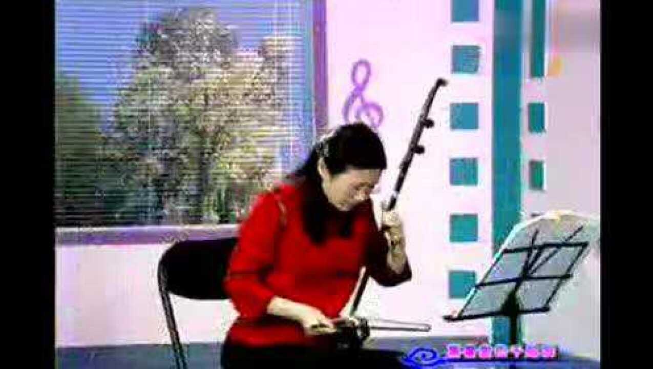 喜看麦田千层浪二胡独奏_高清