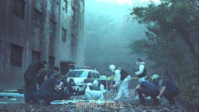 信号 Signal 1集
