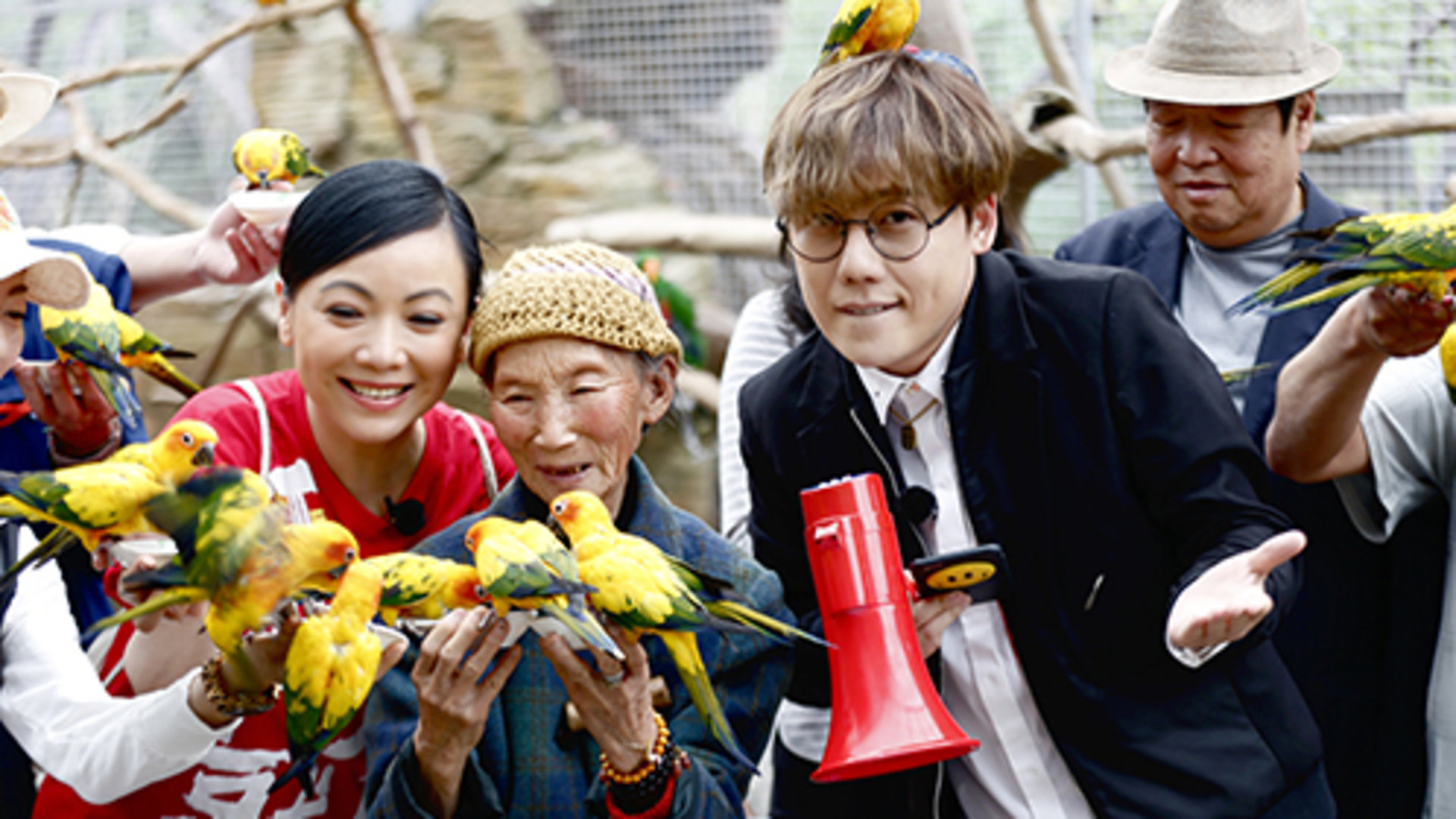 第2期:视后邓萃雯为省钱 菜场吆喝卖菜