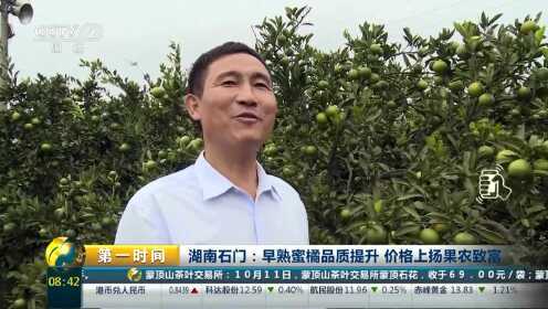 湖南石门：早熟蜜橘品质提升 价格上扬果农致富