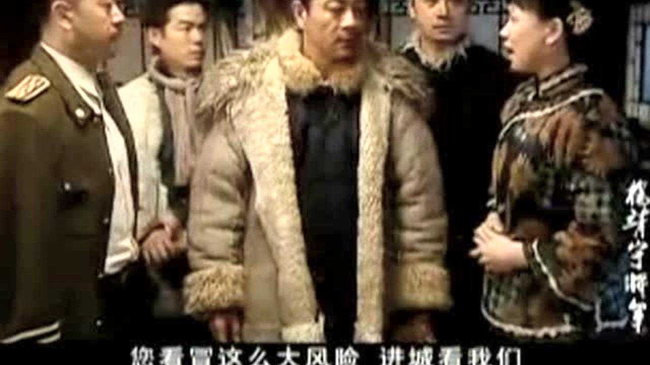 杨靖宇将军 14集