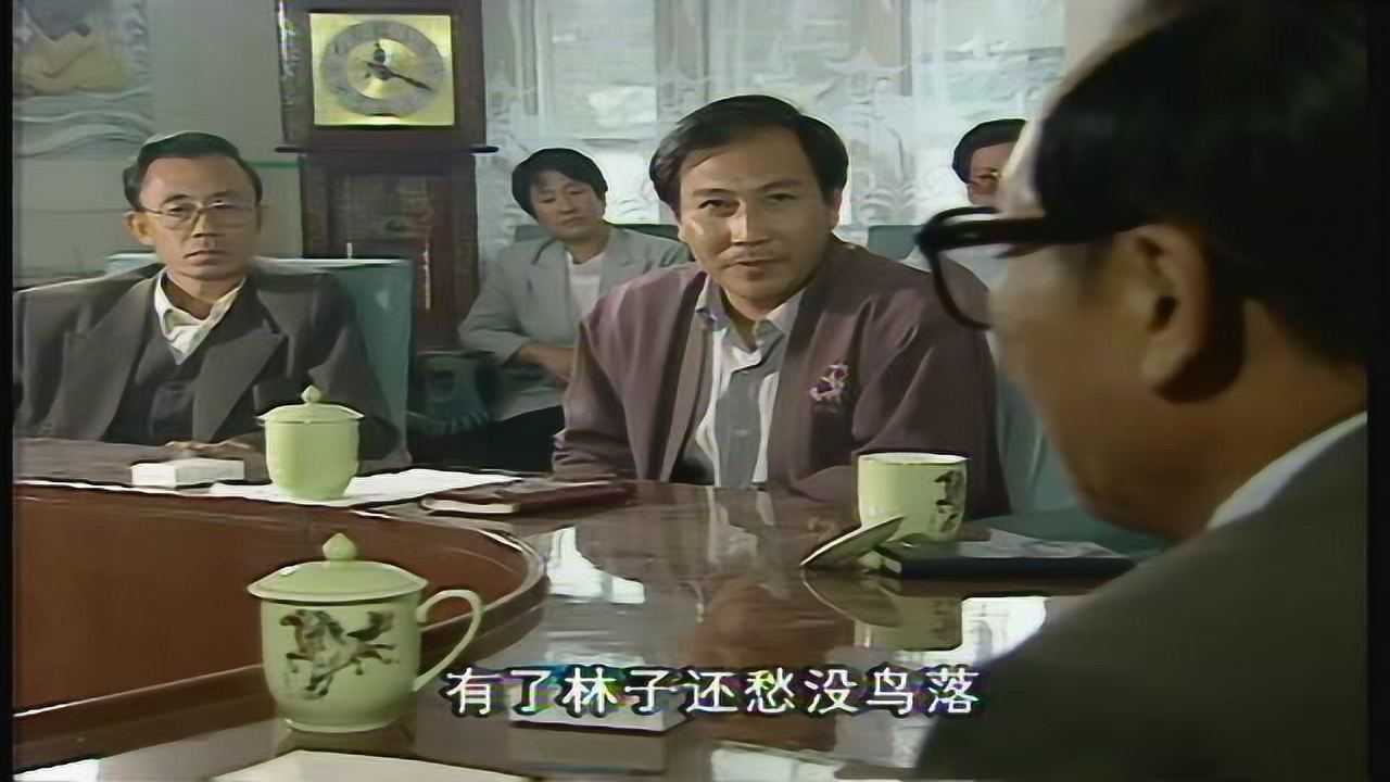 党员二愣妈 5集