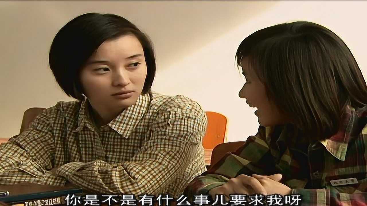 书香门第 3集