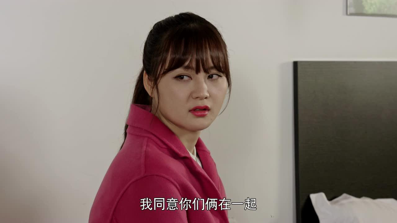 乡村爱情10（下） 19集