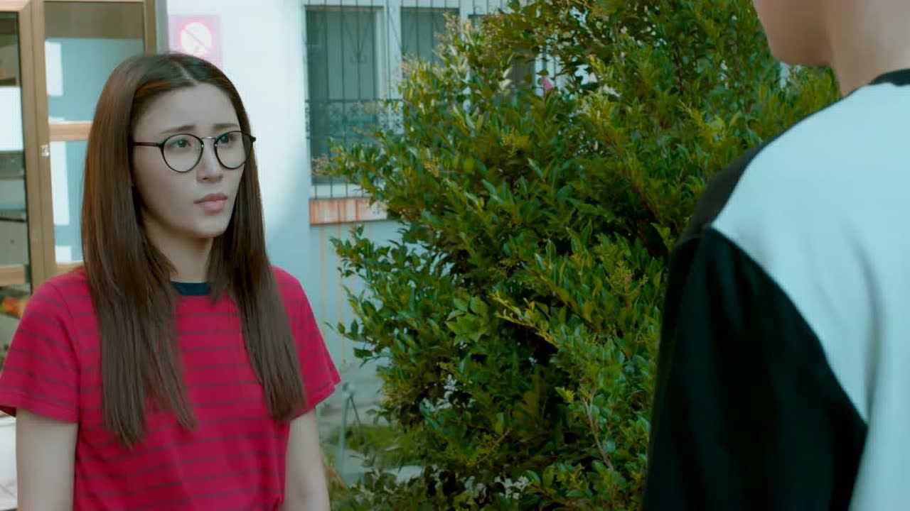 忽而今夏 22集