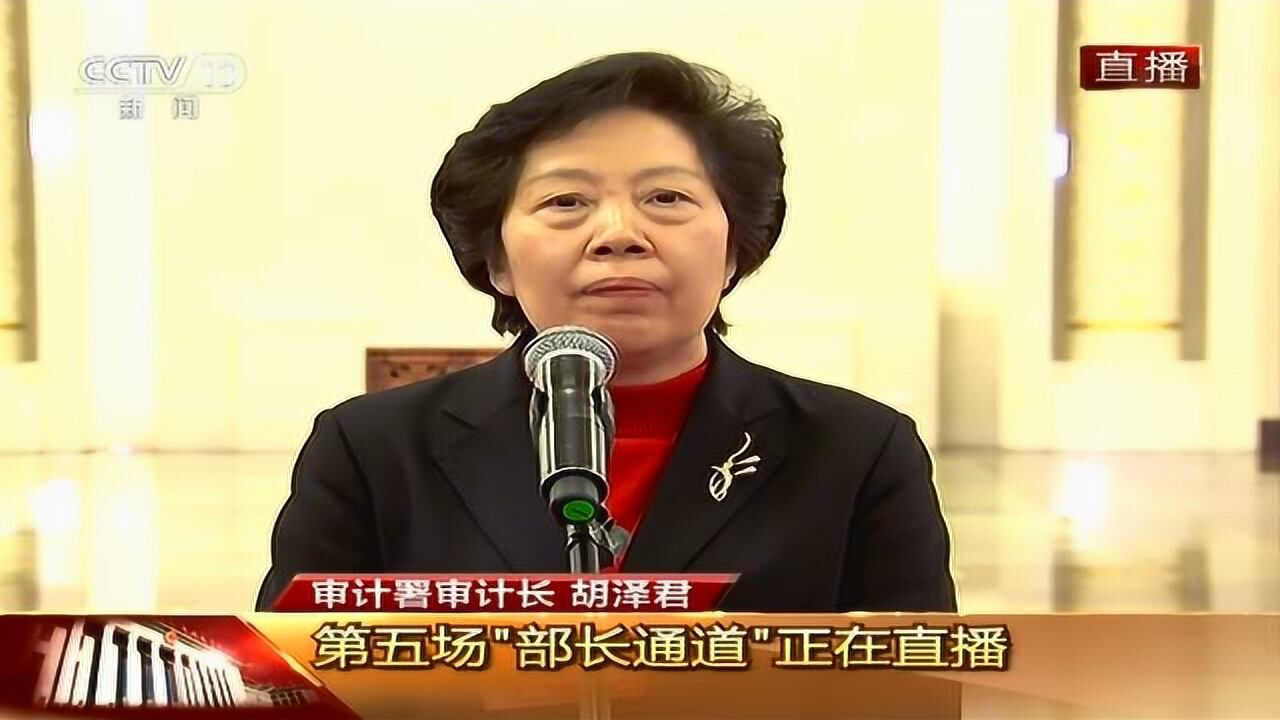 审计署审计长胡泽君:积极推进大数据审计 提高审计监督效率