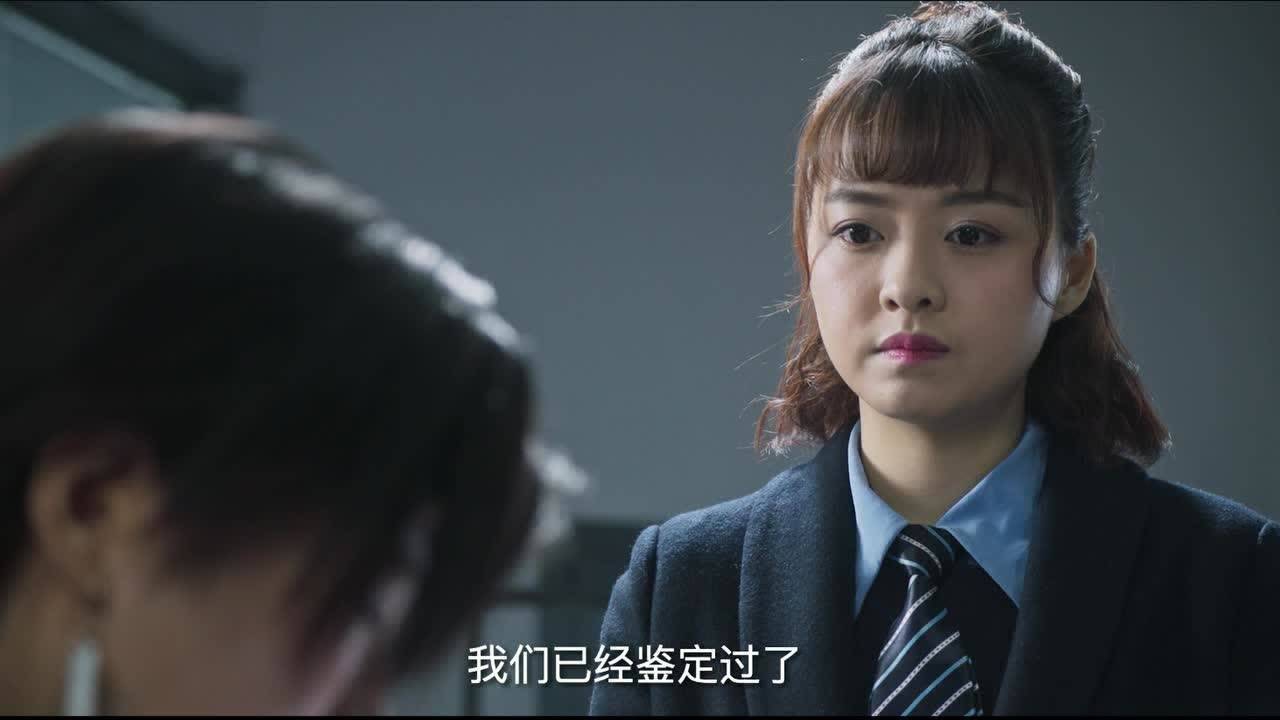 法医秦明之幸存者 16集