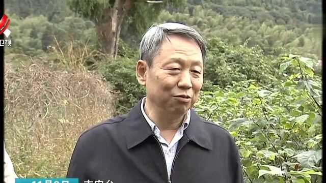 刘卫平赴吉安督导林长制工作