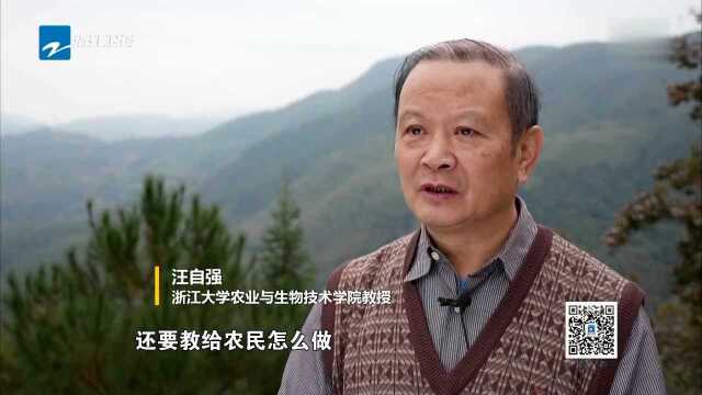 致敬!乡间“智慧侠” 汪自强:扎根山区 十四年如一日