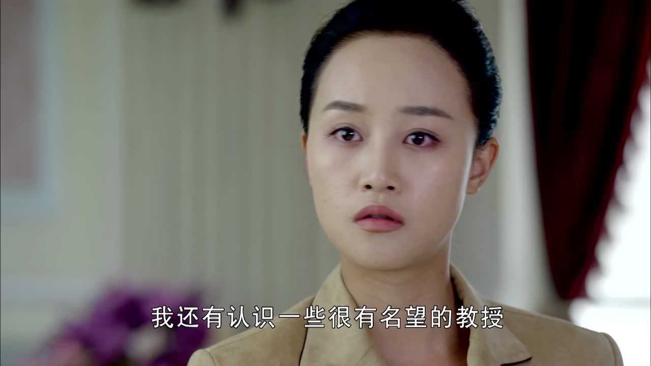 荡寇 30集