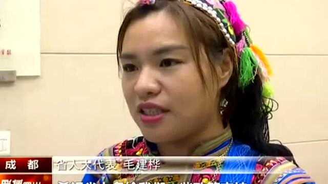 村里“文化人”的心声:乡村振兴 文化要先行