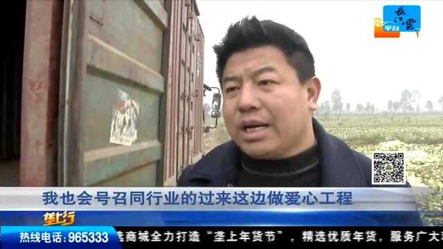 垄上联合爱心商家 为百亩优质娃娃菜找销路