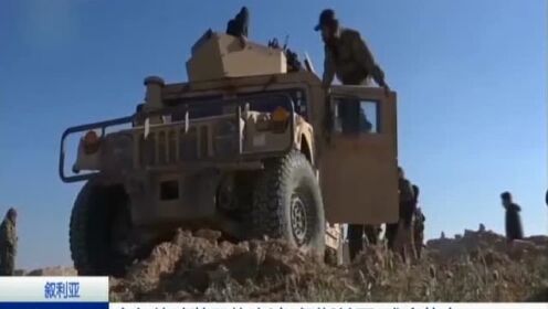 叙利亚：库尔德武装即将肃清“伊斯兰国”残余势力