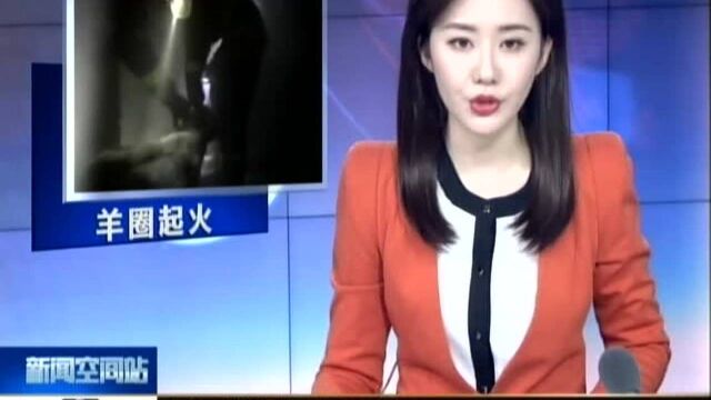 盐城滨海 农户羊圈着火 众人合力救羊