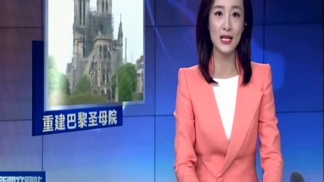 法国:重建巴黎圣母院橡木资源引担忧