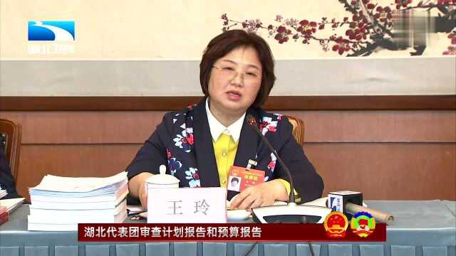 湖北代表团审查计划报告和预算报告